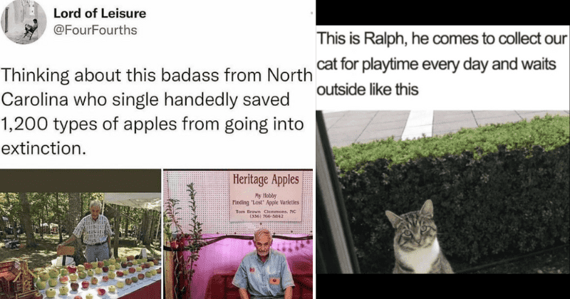 25 wholesome memes that remind us that the world is still a beautiful place