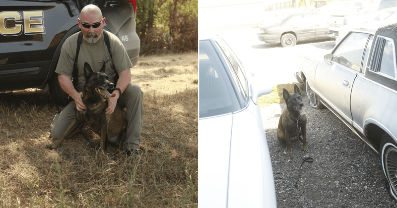 Kansas detective bids heartfelt goodbye to his beloved partner and pet dog: 'See you on the other side'