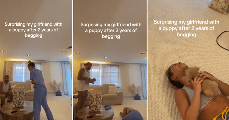 Woman cries tears of joy upon being gifted her dream dog after '2 years of begging'