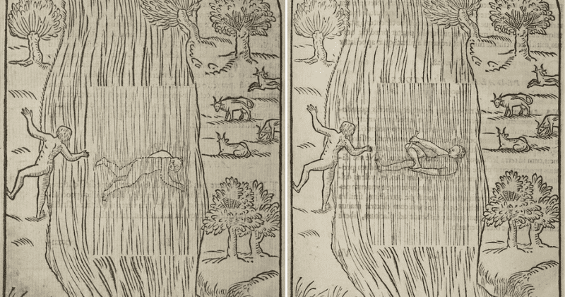 16th-century manual is found to be the first English guide on 'The Art of Swimming'