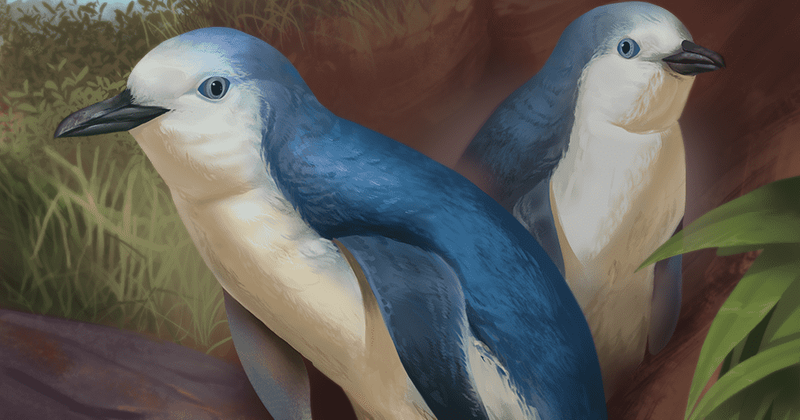 Scientists discover tiny penguin species in New Zealand that lived millions of years ago