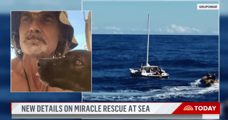 Dog that was rescued after being lost at sea with sailor for months gets adopted by crew member