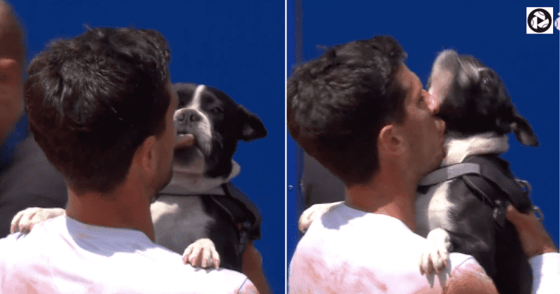 Pedro Cachin bags his first ATP Tour title and celebrates the win with his beloved dog