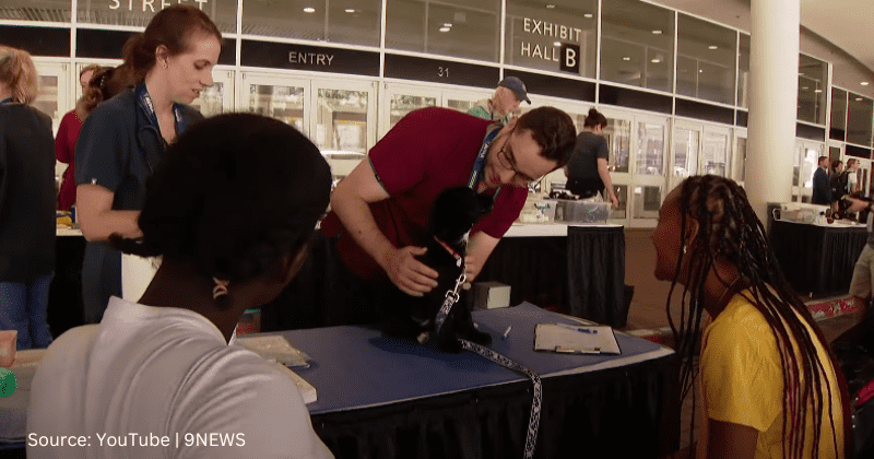 Vets hold free clinic for the pets of people experiencing homeless during AVMA Conference