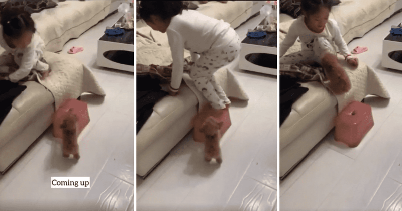 Little girl teaching pup how to jump is the cutest thing you'll see on the internet today