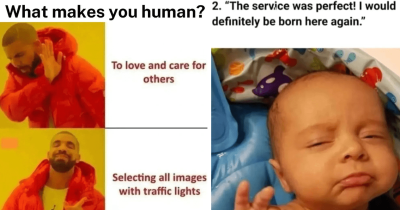 25 science-centered memes that will leave you rolling on the floor with laughter
