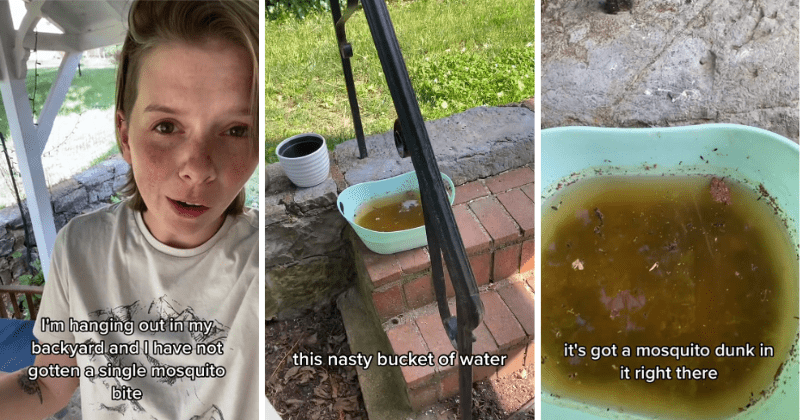Homeowner reveals perfect hack to keep mosquitos away and enjoy the summers completely