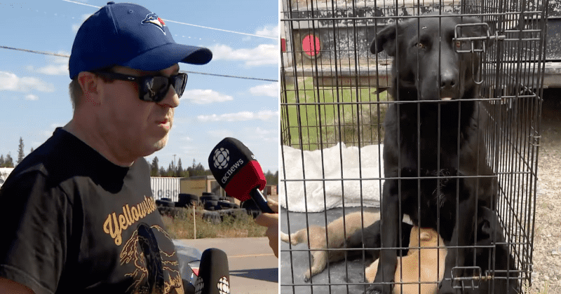 Man hailed a hero after defying evacuation orders to save pets from a horrid wildfire