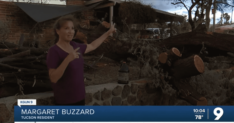 Woman finds strength in community while coping with the loss of a beloved tree in storm