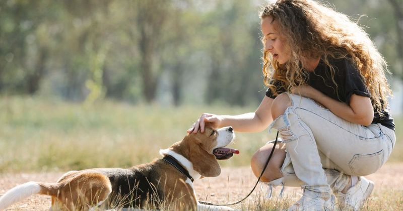 Petting other people's dogs even for a short duration can decrease stress levels, reveals expert
