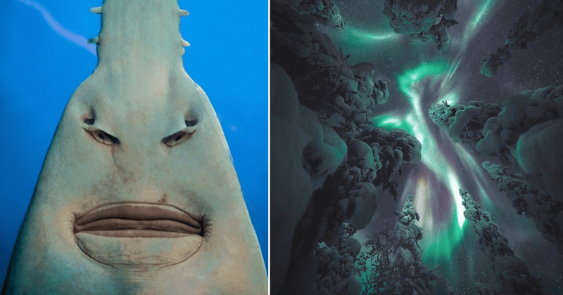 25 pictures of famous events, places and things from a refreshing new perspective