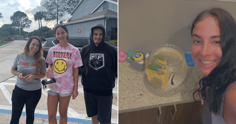 Airlines employee takes care of traveller's pet fish for 4 months after it wasn't allowed on flight