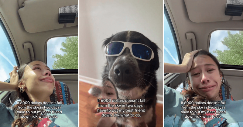 Strangers donate $16,000 to woman who couldn't afford life-saving surgery for her beloved dog