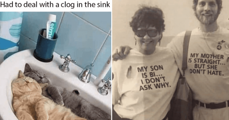 25 wholesome memes that will brighten up anyone's day instantly