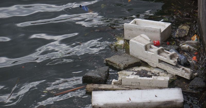 Hungary's annual competition has seen 330 tons of waste removed from its second-largest river