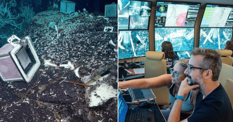 Scientists uncover a new ecosystem in the depths of East Pacific ocean during recent expedition