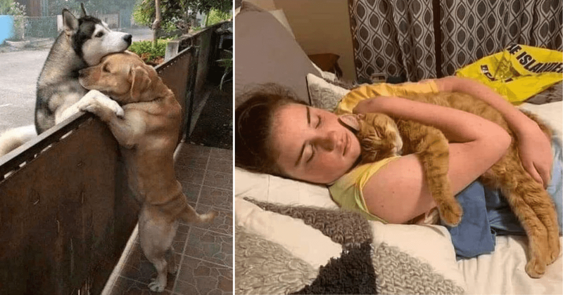 25 'blessed' images from the internet that will warm up your heart