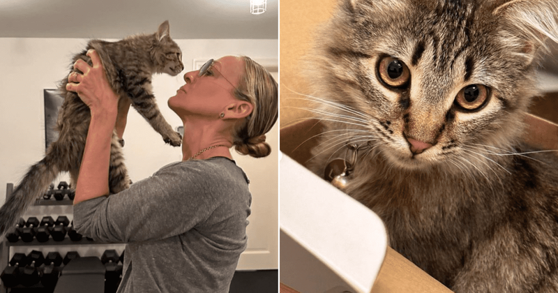 Sarah Jessica Parker shares that she adopted Carrie Bradshaw's kitten from 'And Just Like That...'