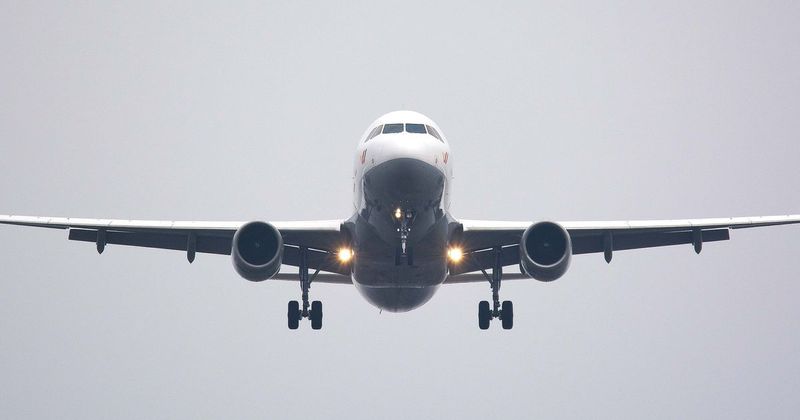 Airline plans to introduce an 'adults-only' section for passengers 'for some extra peace of mind'