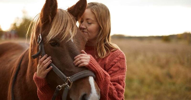 Rescuers show unwavering love and care to neglected horse on its journey to the rainbow bridge