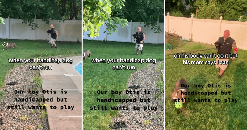 Dog dad wins hearts by helping his handicapped dog play with his other dog