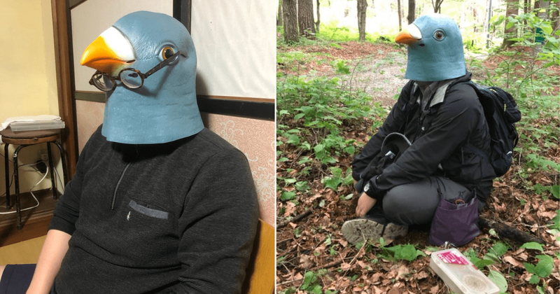Scientist disguises himself and wears a giant bird mask for a year to study their languages