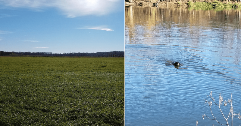 Dakota tribe reclaim its native land back from the government after 160 years in joyous feat