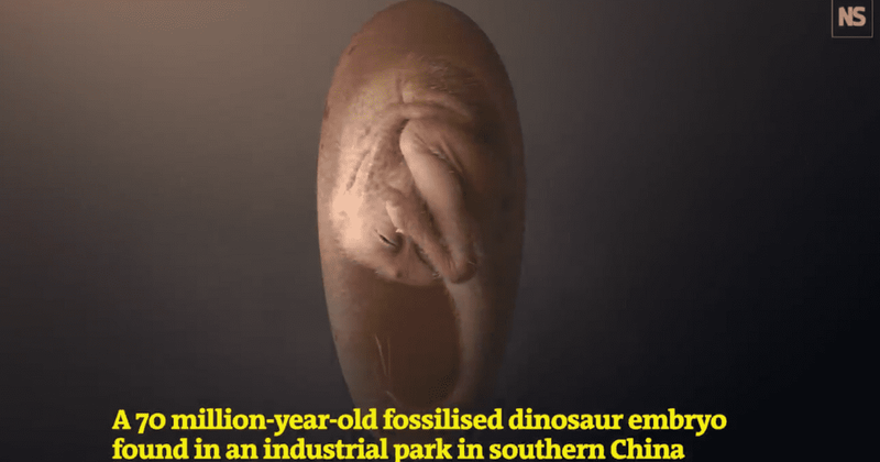 Scientists discover perfectly preserved dinosaur embryo dating back 66 million years