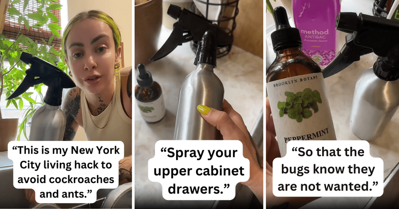 Woman shares 'easy and natural' 3-ingredient hack to repel bugs and people are beyond thankful