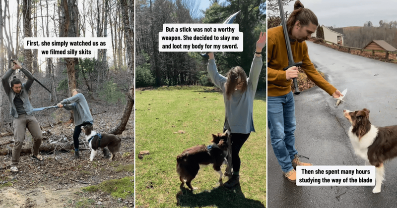 Smart dog teaches herself to wield a sword perfectly and is well on her way to 'world domination'