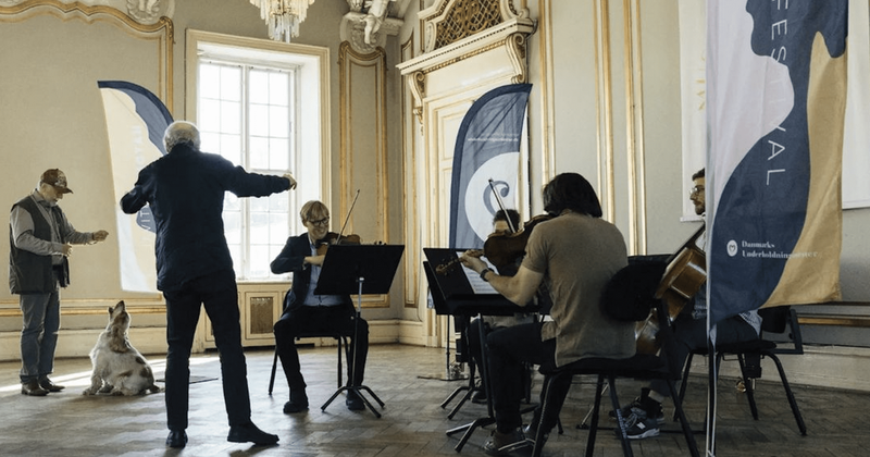 Dogs put their best paw forward to perform Mozart with orchestra at Haydn Festival in Denmark