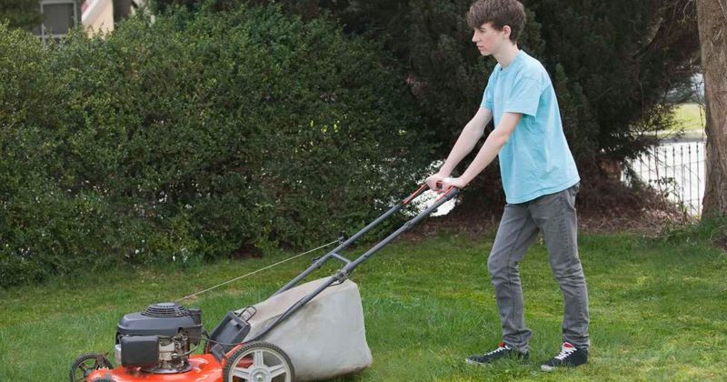 Neighbor comes up with a brilliant plan to prevent teen boy from ruining their front lawn 