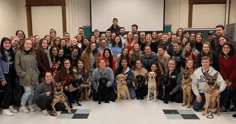 University pairs up students with service dogs-in-training to help them manage stress and anxiety