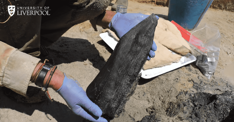Half-million-year-old unearthed wooden structure challenges everything known about Stone Age humans