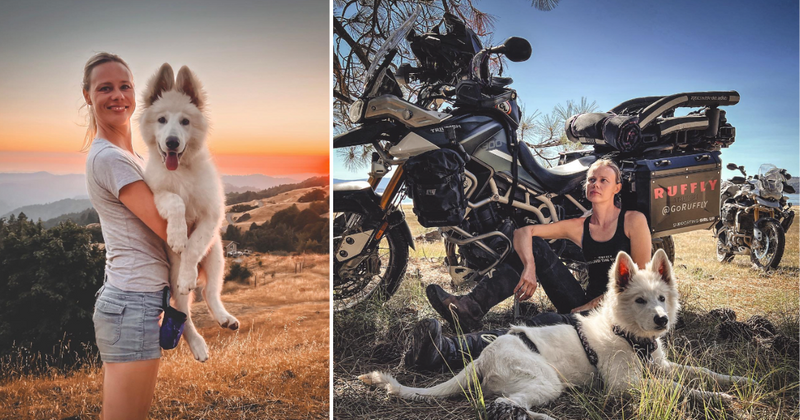 Biker tragically loses her canine travel buddy but finds solace in a new furry friend