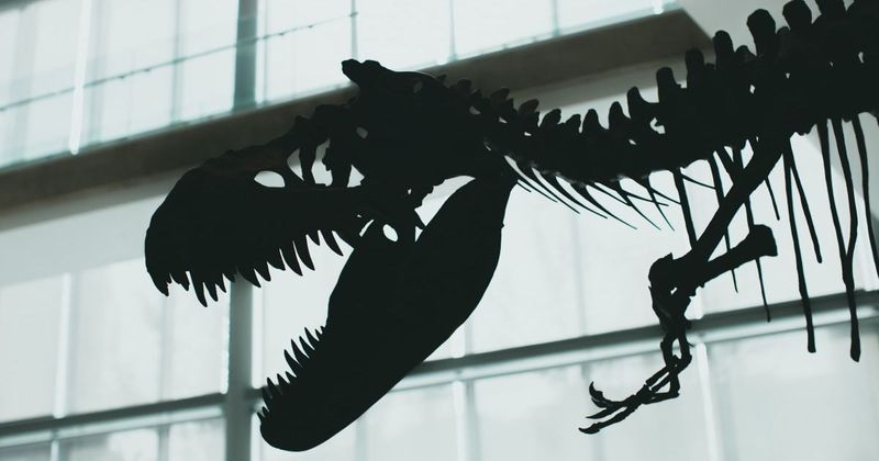 Palaeontologists discover newfound fossils of 'Titan' dinosaur from the prehistoric era