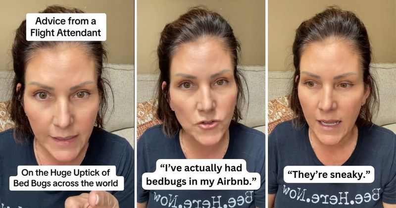 Flight attendant shares hassle-free tricks to check and get rid of bedbugs while traveling