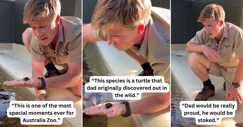 Robert Irwin gets emotional upon successfully breeding rare 'Irwin’s turtle' discovered by late dad