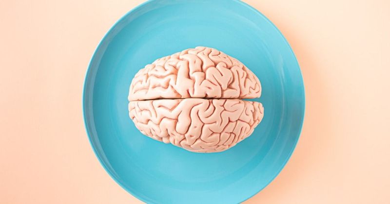 Scientists are trying to find cure for Alzheimer's by creating the biggest map of human brain