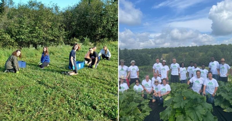 Non-profit buys a church for $1 to store fresh produce for vulnerable population