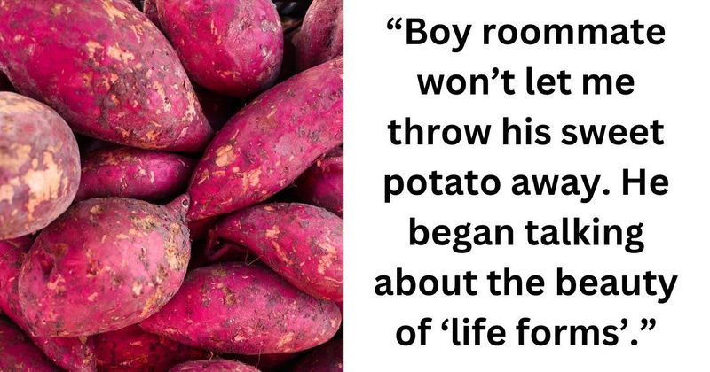 25 hilarious reactions to a man letting an unwanted sweet potato grow in his home