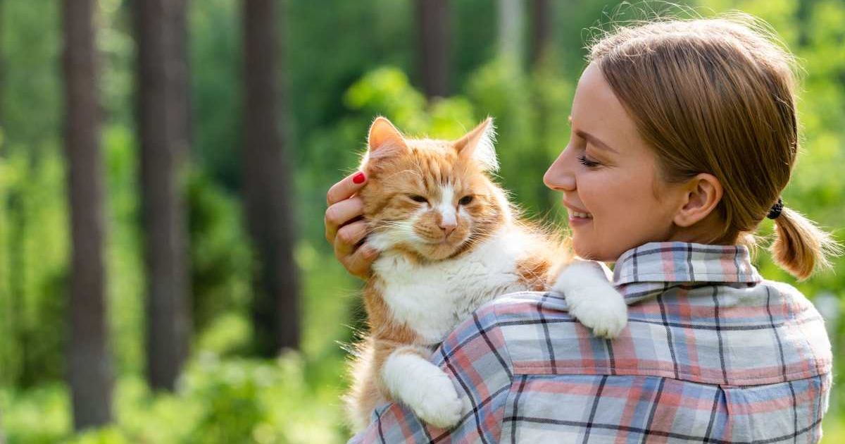Doctor prescribes 'a cat' to woman battling depression. An hour later, she rescues one from roadside.