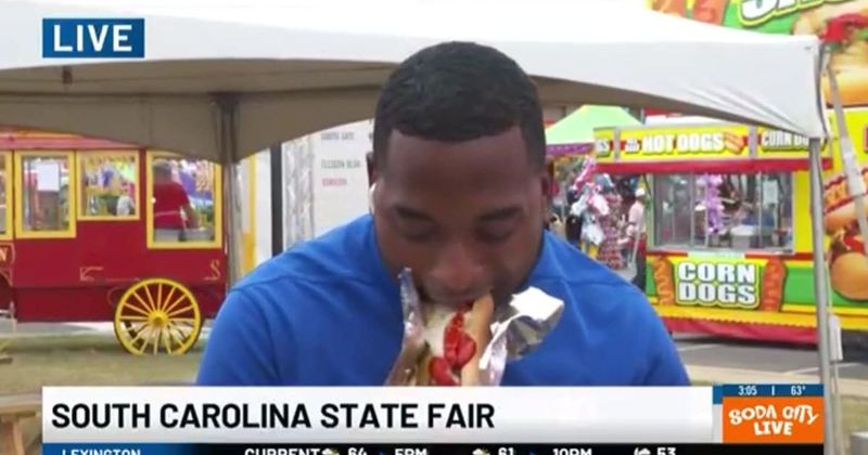 News reporter has a hilariously awkward reaction after tasting Polish-style hot dog at state fair