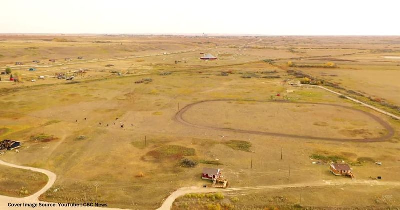 The First Nation in Alberta is fighting climate change by planting a million trees