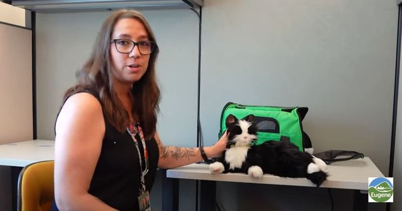 Library introduces 'robo kitty' that provided comfort and companionship to visitors