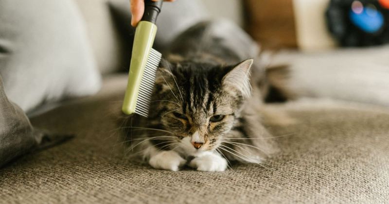Forensic science has discovered the newest way to cat-ch criminals and it's intriguing