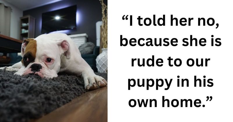 Woman refuses to help homeless friend who was mean to her puppy, garners support from pet parents