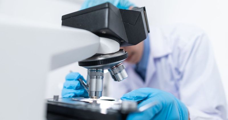 People share the 10 most unexpected and weirdest things they discovered after their DNA tests