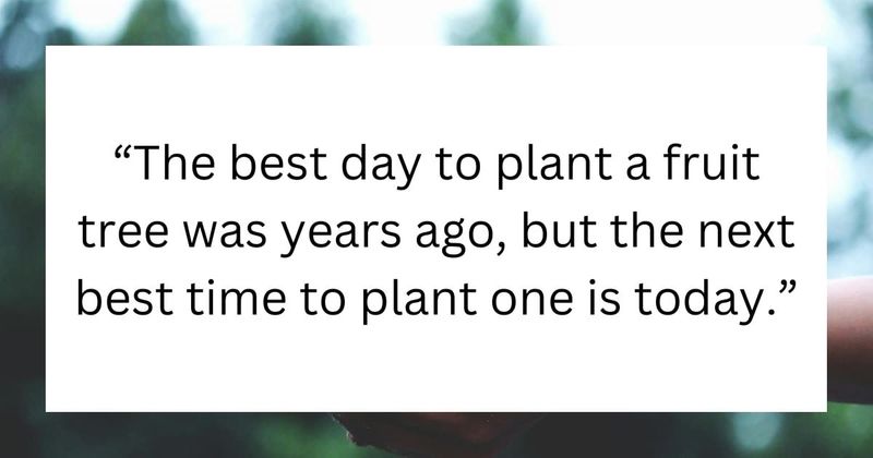 10 invaluable pieces of life advice from the older generation to lead a fulfilling life