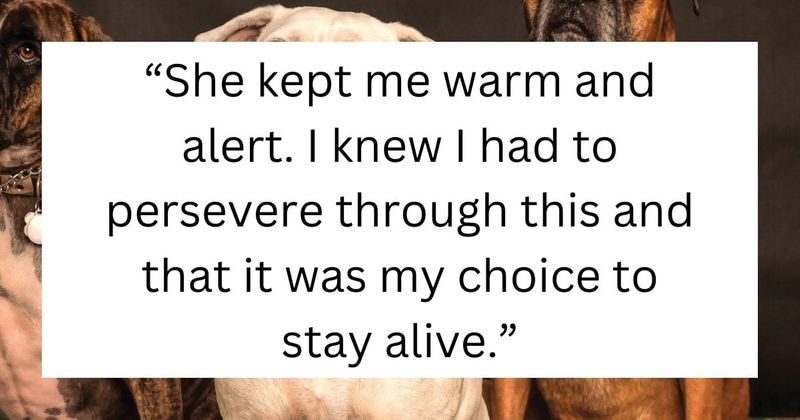 Dog saves owner's life with bravery after he fell and got stuck in freezing snow